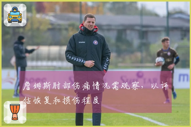 詹姆斯肘部伤痛情况需观察，以评估恢复和损伤程度