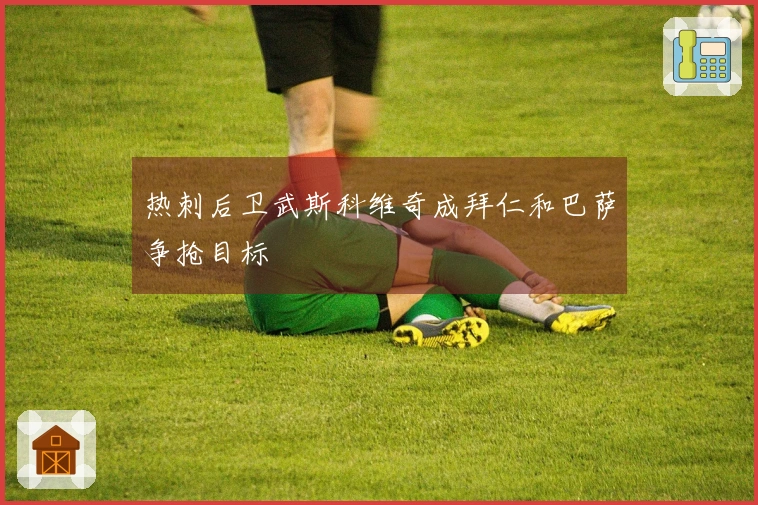 热刺后卫武斯科维奇成拜仁和巴萨争抢目标