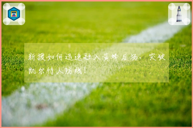 新援如何迅速融入黄蜂后场，突破凯尔特人防线！