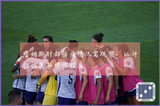 詹姆斯肘部伤痛情况需观察，以评估恢复和损伤程度
